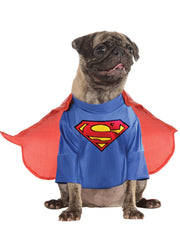 Rubies costume Superman vu de face, rendu héroïque et rassurant