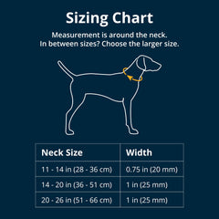 Ruffwear gros plan boucle Airloc assurant fermeture rapide