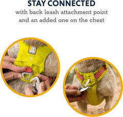 Ruffwear anneau V-ring arrière en aluminium pour fixation solide
