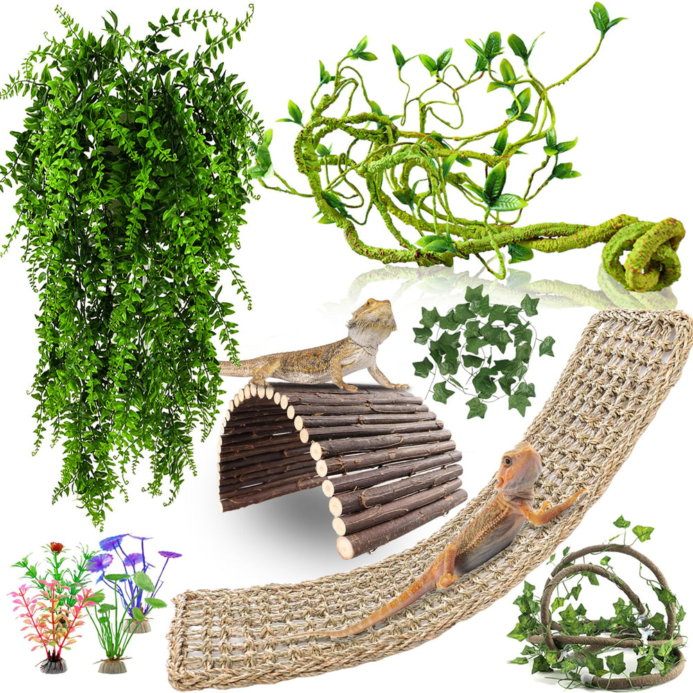 RUNANIA ensemble complet montrant tout le kit pour enrichir habitat