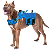 RunFido vue avant du gilet tactique montrant confort et robustesse
