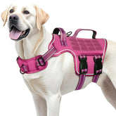 RunFido gilet face avant montrant maintien et confort