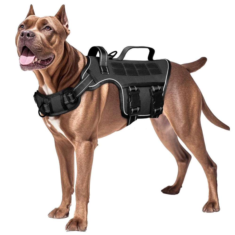 RunFido harnais vue avant montrant le gilet et le réglage sécurisé