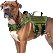 RunFido harnais face avant, confort et contrôle instantané