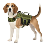 RunFido harnais face avant montrant coupe et réglages confortables