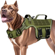 RunFido harnais face avant montrant maintien et confort pendant la promenade