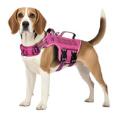 RunFido harnais face avant présentant confort et contrôle