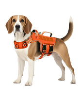 RunFido harnais face avant montrant coupe et maintien confortable