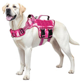 RunFido harnais face avant montrant coupe et boucles, confort immédiat