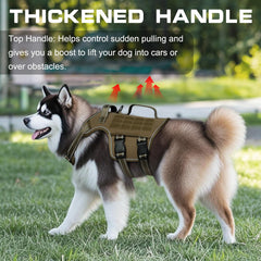 RunFido poignée supérieure pour saisie rapide et sécurité