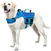 RunFido harnais vue de face montrant maintien et confort