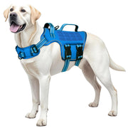 RunFido harnais vue de face montrant maintien et confort