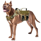 RunFido harnais vue de face montrant maintien sûr et design durable
