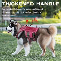 RunFido poignée renforcée pour contrôle sécurisé immédiat