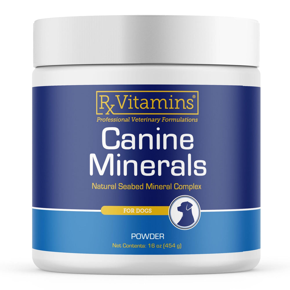 Rx Vitamins emballage avant montrant l'étiquette claire pour choix facile