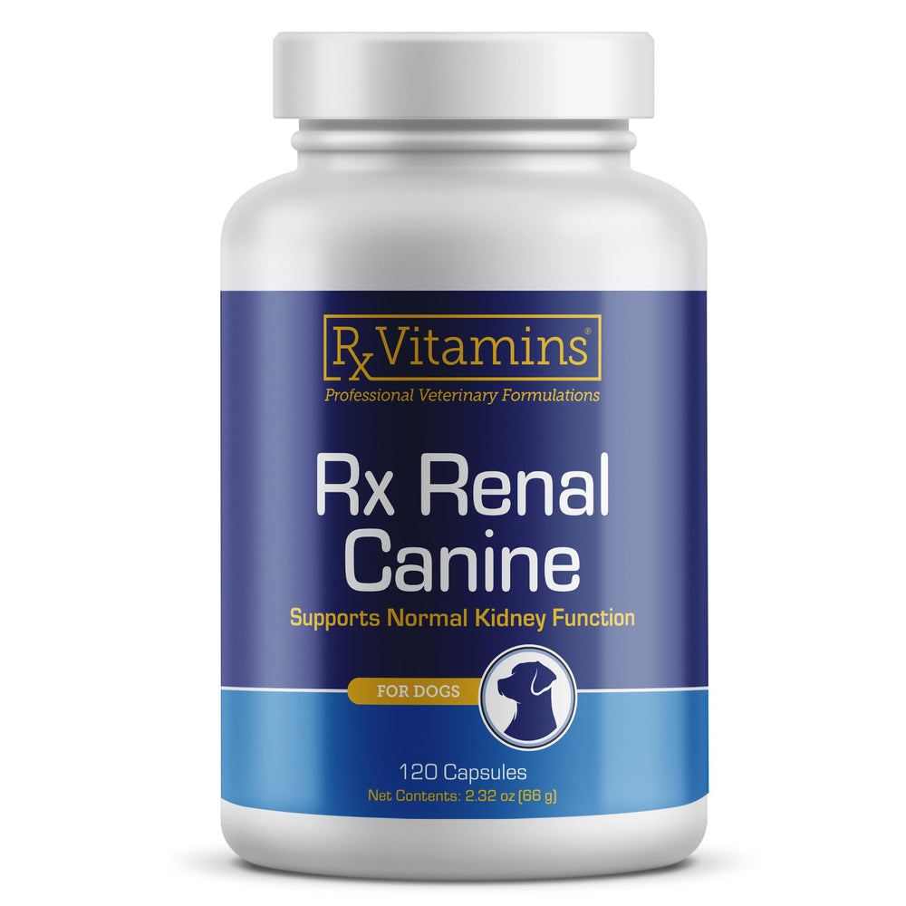 Rx Vitamins boîte Rx Renal Canine montrant l'emballage professionnel et l'information