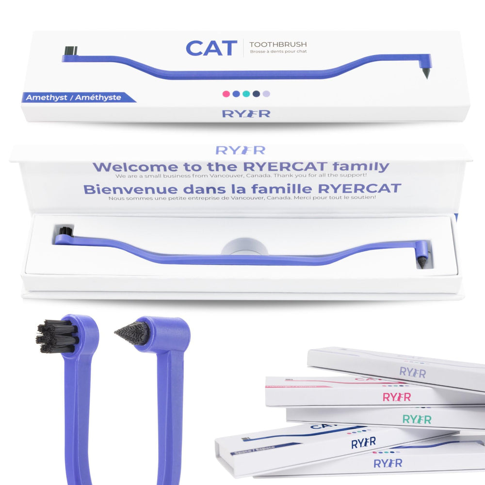 RYERCAT brosse face avant couleur améthyste pour prise confortable
