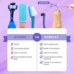 RYERCAT matière en amidon de maïs biodégradable respectueuse