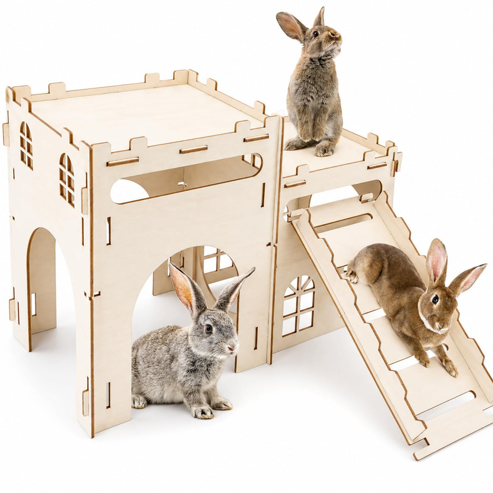 Rypet chateau face ensemble montrant l'espace pour plusieurs animaux
