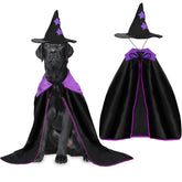 Rypet costume sorcière devant montrant la cape violette et le chapeau pour visibilité