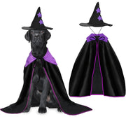 Rypet costume sorcière devant montrant la cape violette et le chapeau pour visibilité