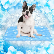 Rywell tapis face avant montrant une surface fraîche et accueillante