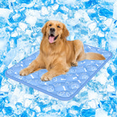 Rywell visage avant du tapis océan bleu, rafraîchissement durable visible