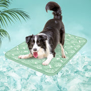 Rywell tapis recto packaging vert nature montrant design et taille, confort durable
