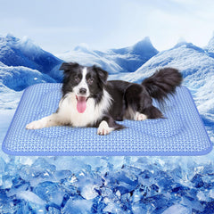 Rywell tapis face avant montrant packaging et taille, facilité d'installation