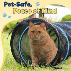 Rywell tunnel en usage avec chat courant pour exercice actif