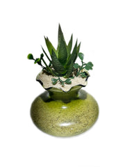 Generic sable fond de terrarium adapté au creusement naturel des reptiles