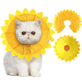 Sadnyy collerette tournesol vue avant montrant le design mignon et protection visible