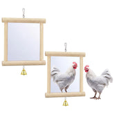 Sadnyy miroir poulet face avant montrant double réflexion et stimulation