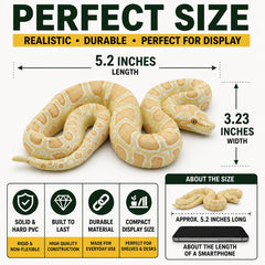 Safari Ltd. profil en courbe du python illustrant proportions anatomiques fidèles