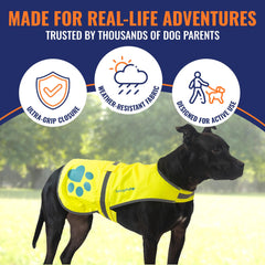 SafetyPUP XD détail de la sangle utilitaire pour accrocher accessoires