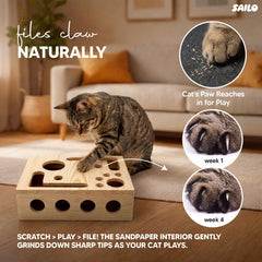 SAILO assortiment de ressorts et balles, variété qui prolonge l'intérêt du chat