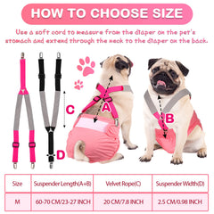 Saintrygo bretelles portées sur chien moyen pour maintien efficace