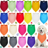 Saintrygo emballage avant montrant lot de 20 bandanas pratiques