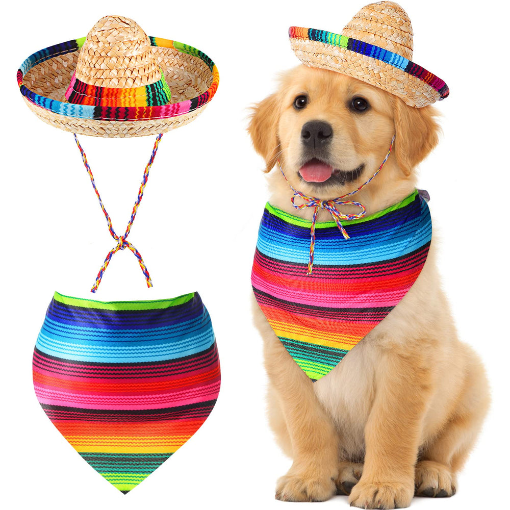 Saintrygo sombrero face avant montrant style festif et attractif
