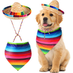 Saintrygo sombrero face avant montrant style festif et attractif