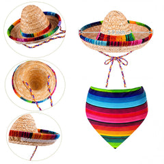 Saintrygo chapeau porté par chien montre confort et ajustement sécurisé