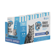 Salty Cat emballage avant montrant lot de 12 sachets, présentation pratique