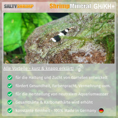 SALTYSHRIMP poudre texture en gros plan garantissant dissolution rapide