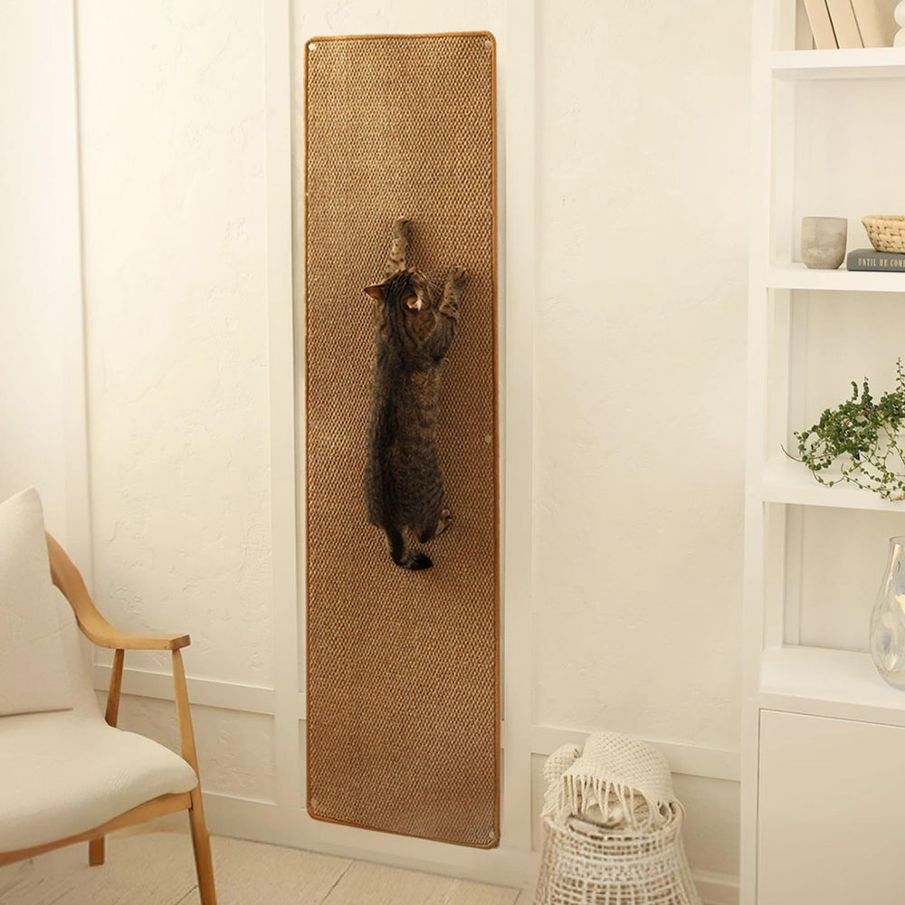 SANDPEAK vue de face du tapis mural protégeant le mur et le canapé