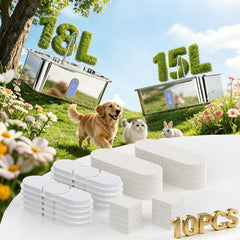 SANXUO lot de 10 cartouches emballées préservant fraîcheur