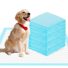 SAP FRIENDLY vue avant du paquet montrant 10 tapis, protection immédiate