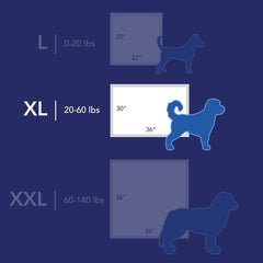 Scott Pet Guard tapis déployé en taille XL offrant une grande surface d'entraînement