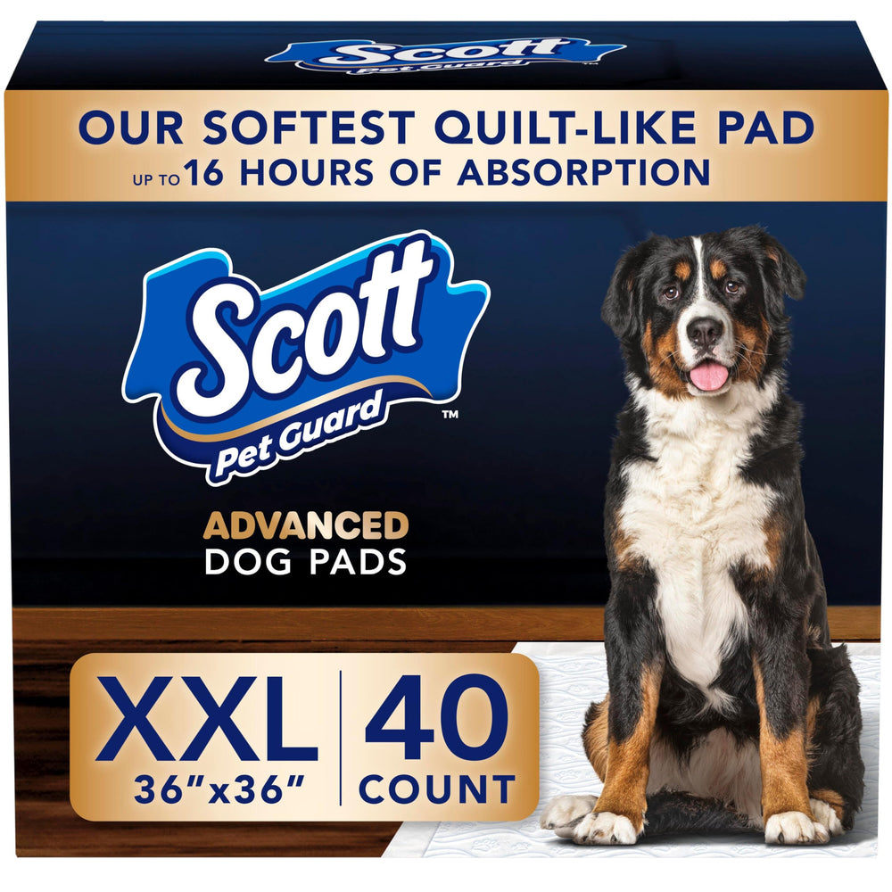 Scott montrant l'avant du paquet pack de 40, gain de temps et rangement