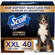 Scott montrant l'avant du paquet pack de 40, gain de temps et rangement