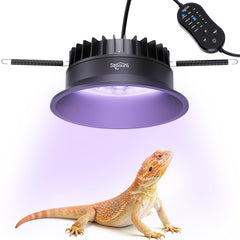 SEAOURA rampe LED frontale montrant design compact et compatibilité
